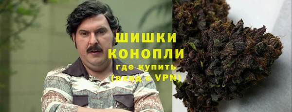 индика Гусь-Хрустальный