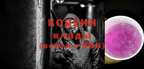 индика Гусь-Хрустальный
