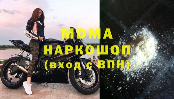 индика Гусь-Хрустальный