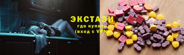 индика Гусь-Хрустальный
