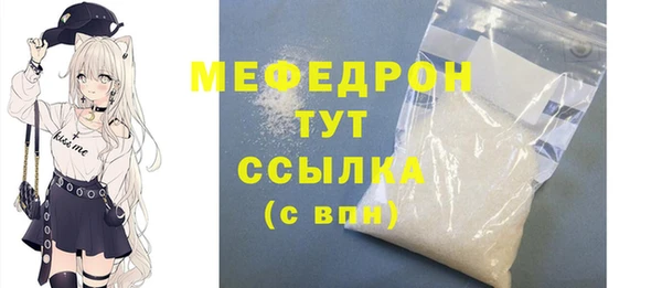 индика Гусь-Хрустальный