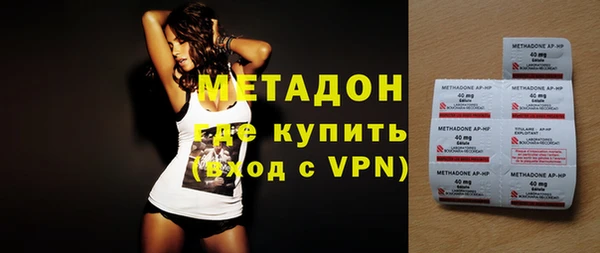 индика Гусь-Хрустальный