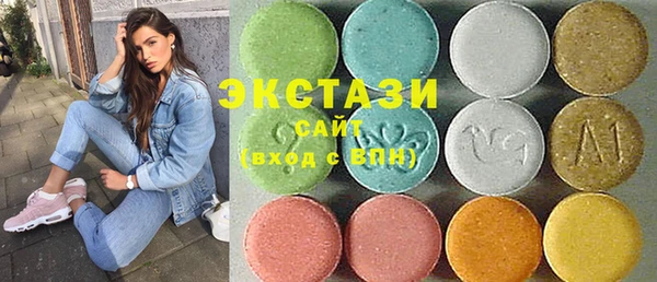 индика Гусь-Хрустальный