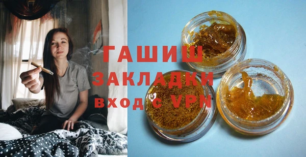 индика Гусь-Хрустальный