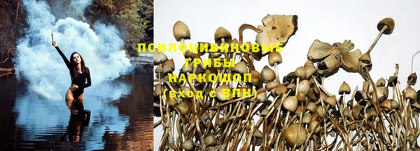 метадон Гусев