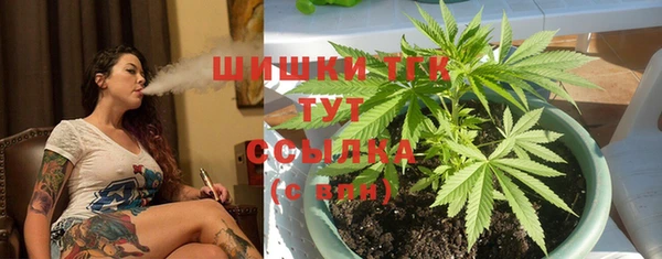 индика Гусь-Хрустальный