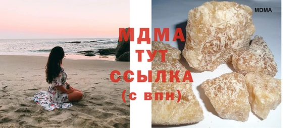 индика Гусь-Хрустальный