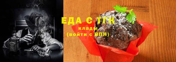 индика Гусь-Хрустальный