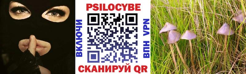 ОМГ ОМГ зеркало  Новый Оскол  Галлюциногенные грибы MAGIC MUSHROOMS  закладки 